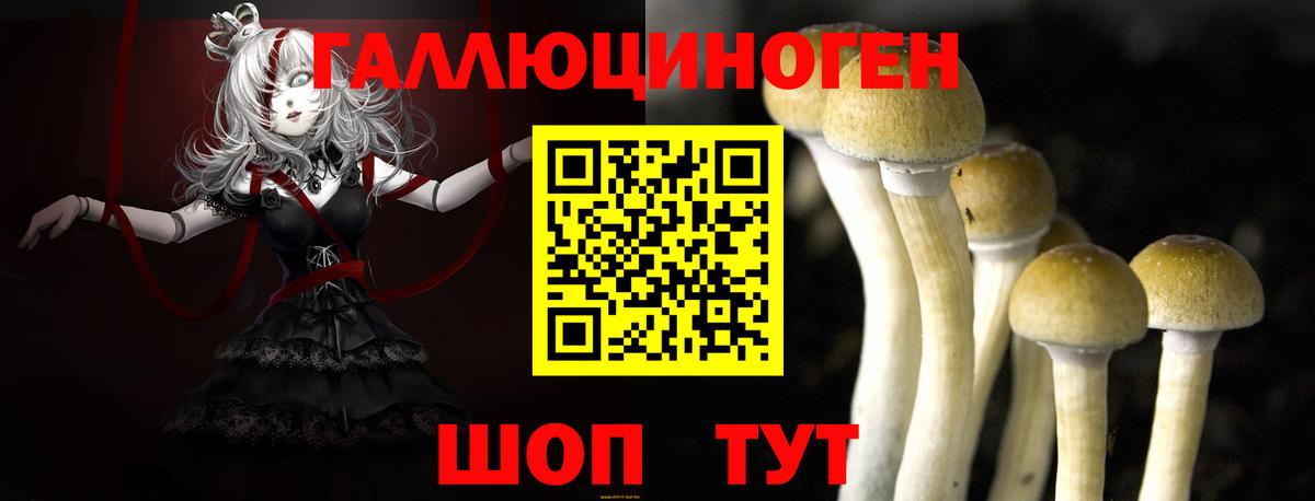 Горно-Алтайск  Псилоцибиновые грибы Psilocybe  Вход с VPN  Галлюциногенные грибы Psilocybine cubensis 